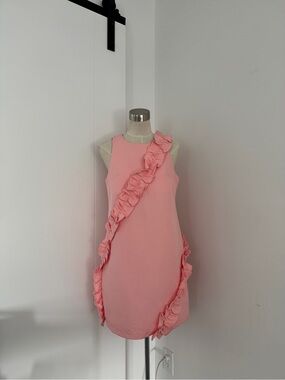 Sleeveless Pink Ruffle-Trim Mini Dress